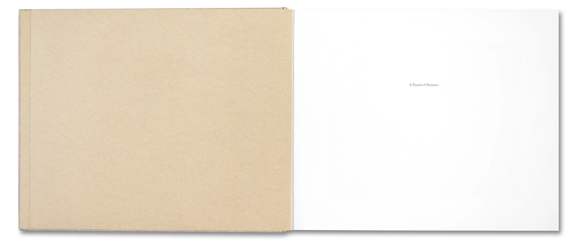 A Pound of Pictures - Image 3