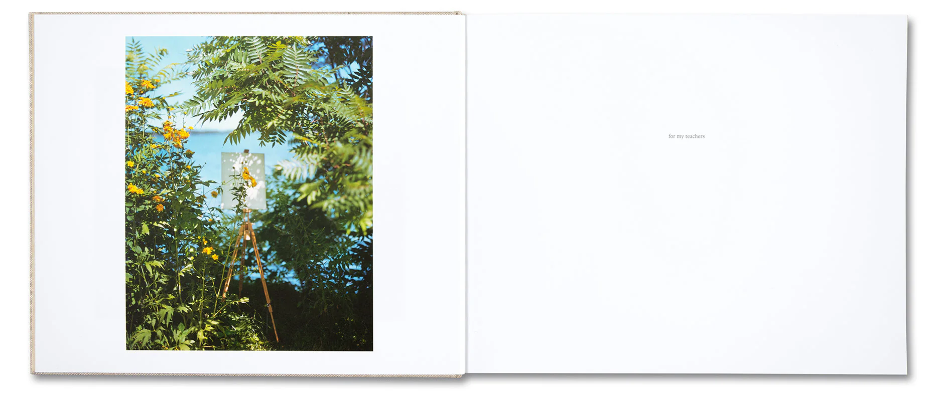 A Pound of Pictures - Image 5