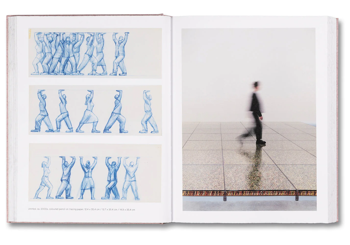Anatomy - Image 12