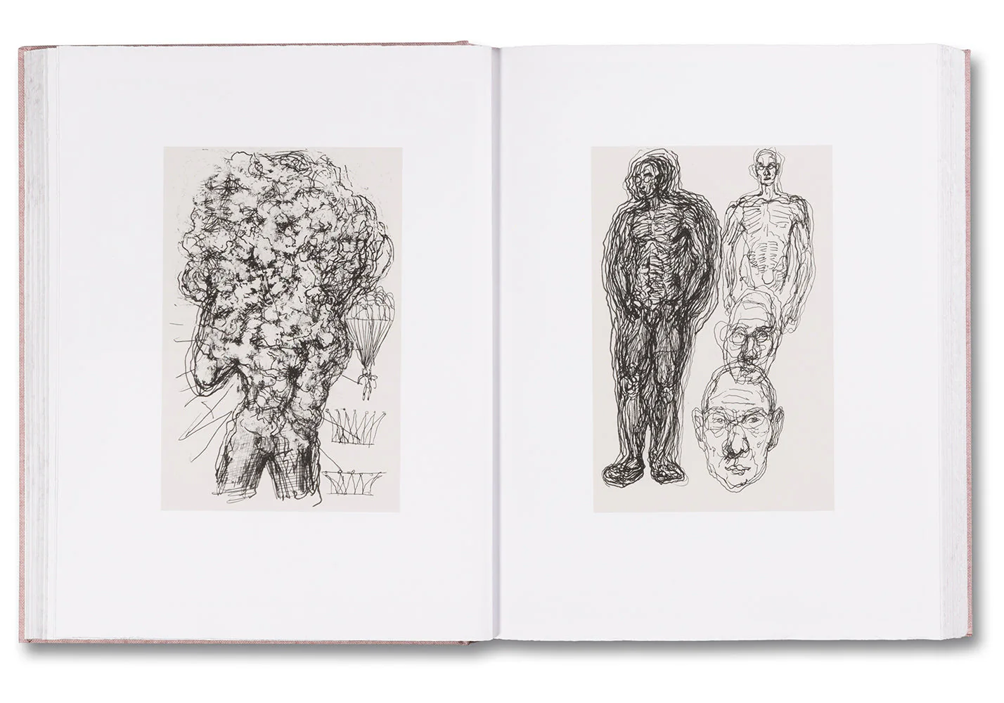 Anatomy - Image 13