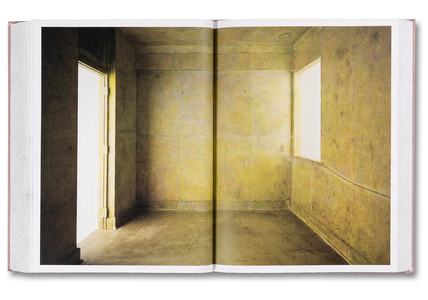 Anatomy - Image 30