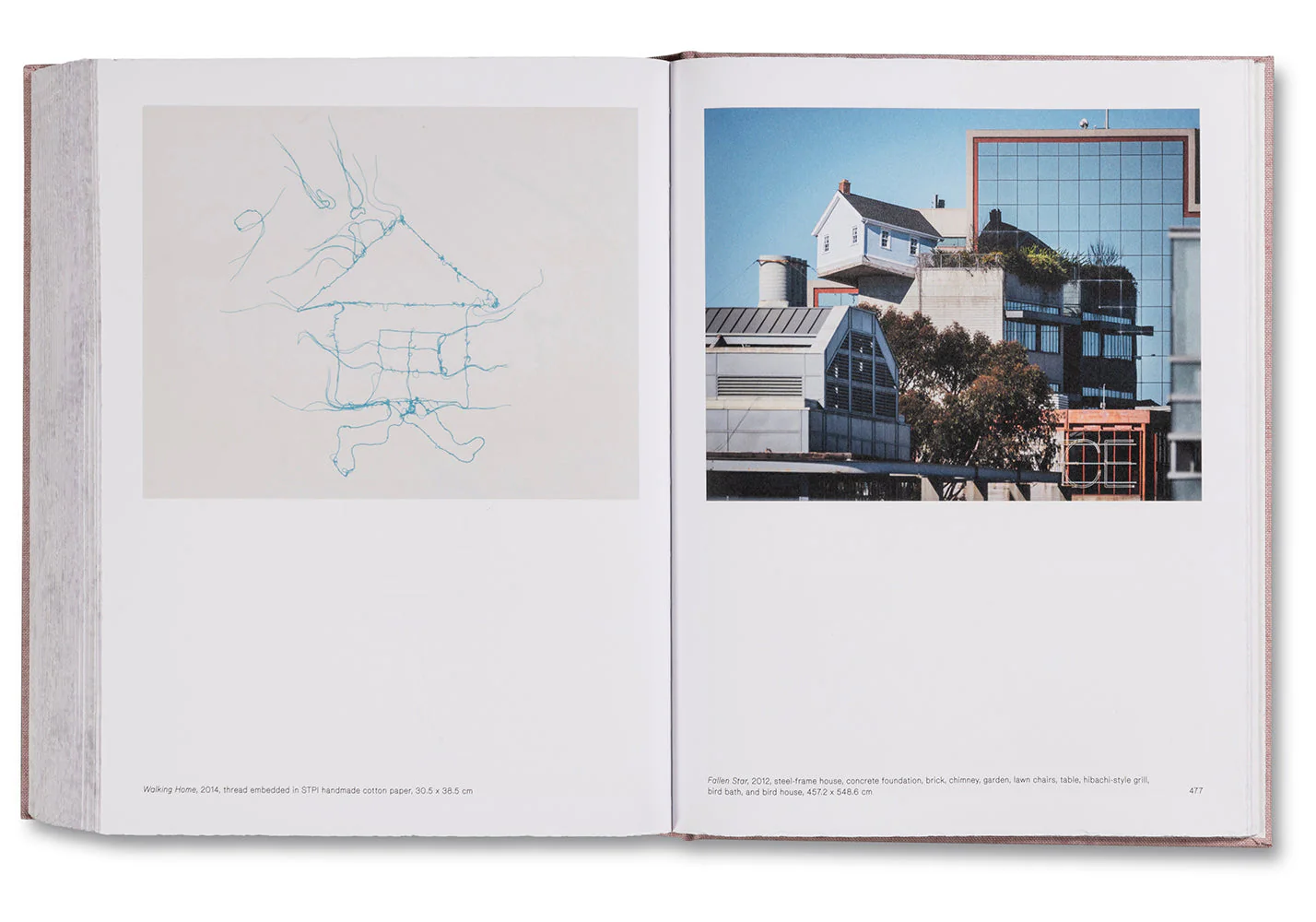 Anatomy - Image 47