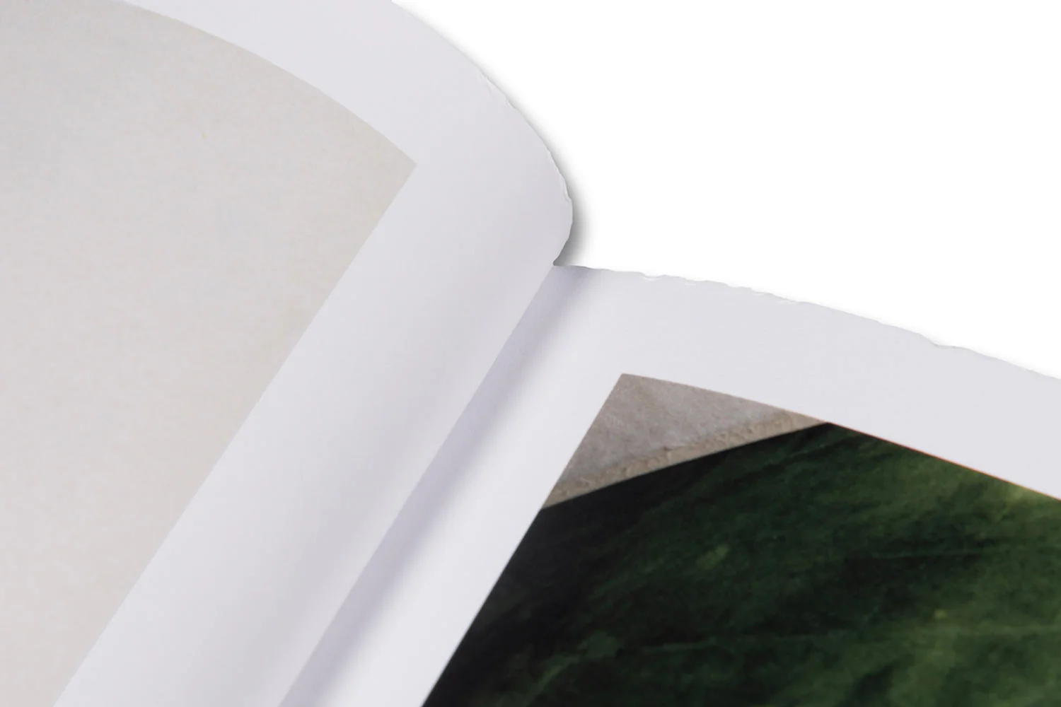 Anatomy - Image 60