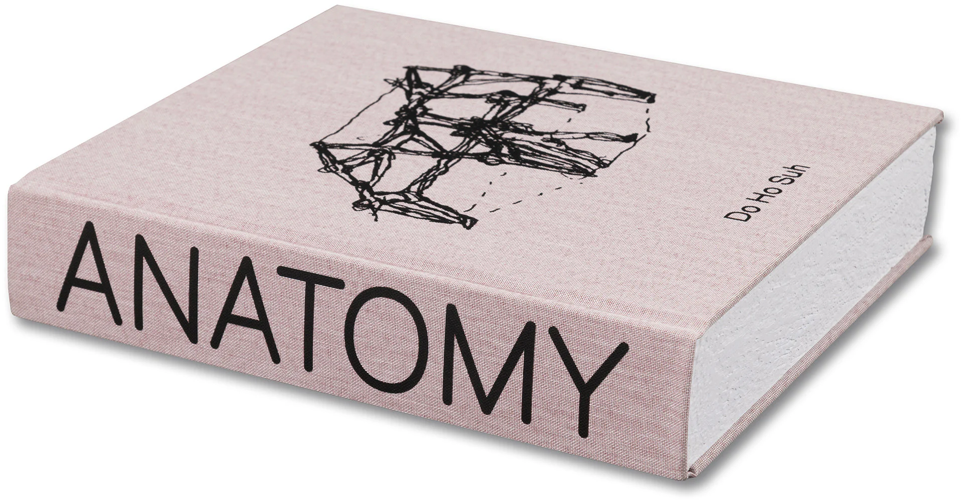 Anatomy - Image 70