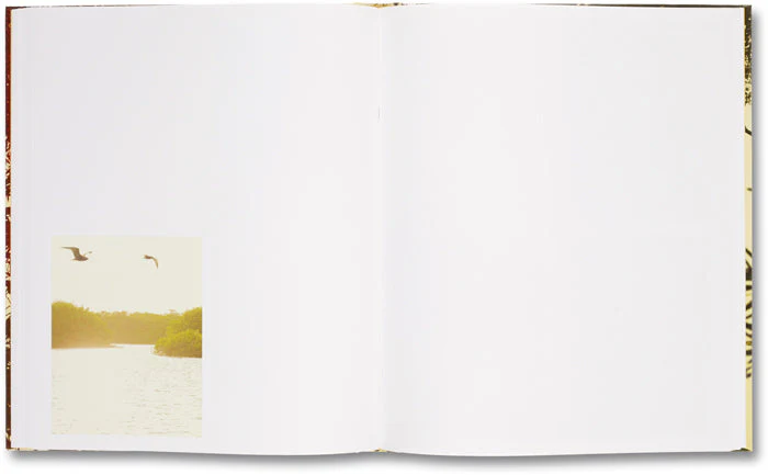 Archipelago - Image 13