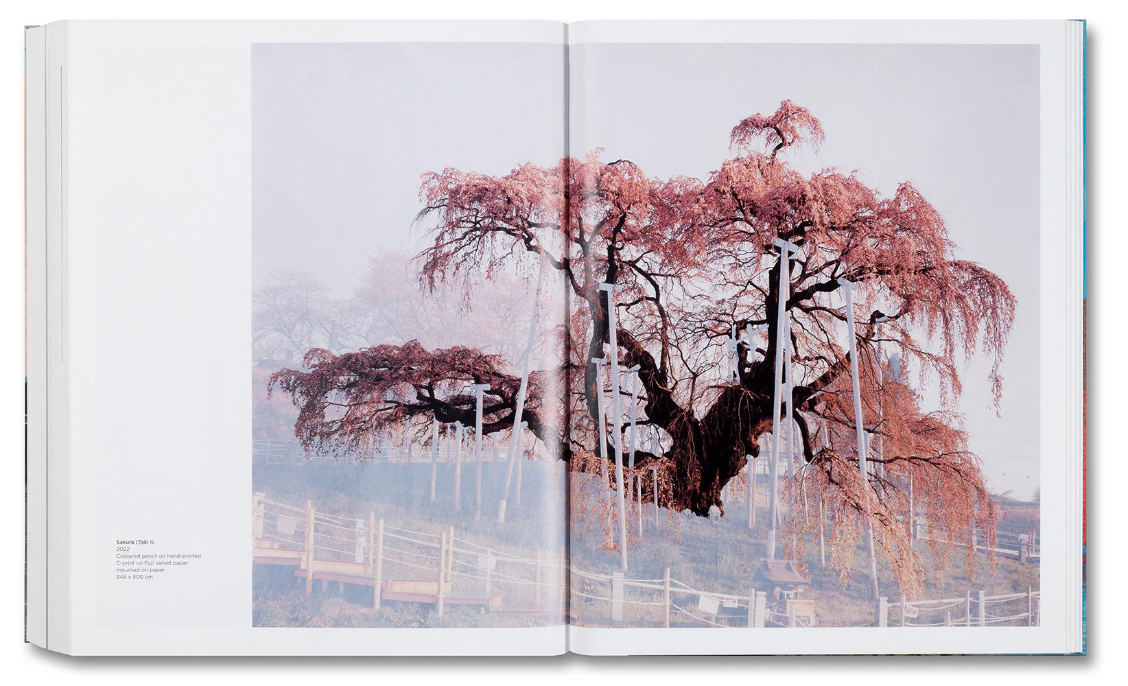 Base Matter and Uncommon Solvent: Drawings, Prints, Collages, and Objects 1988–2024 - Image 34