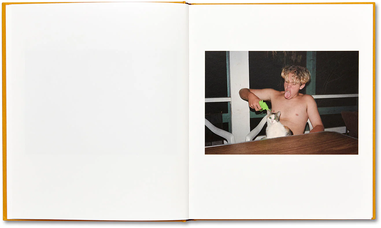 Book of Roy - Image 7