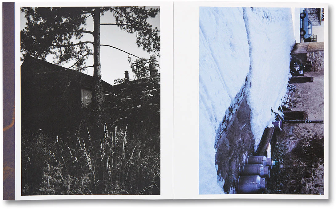 Corbeau - Image 6