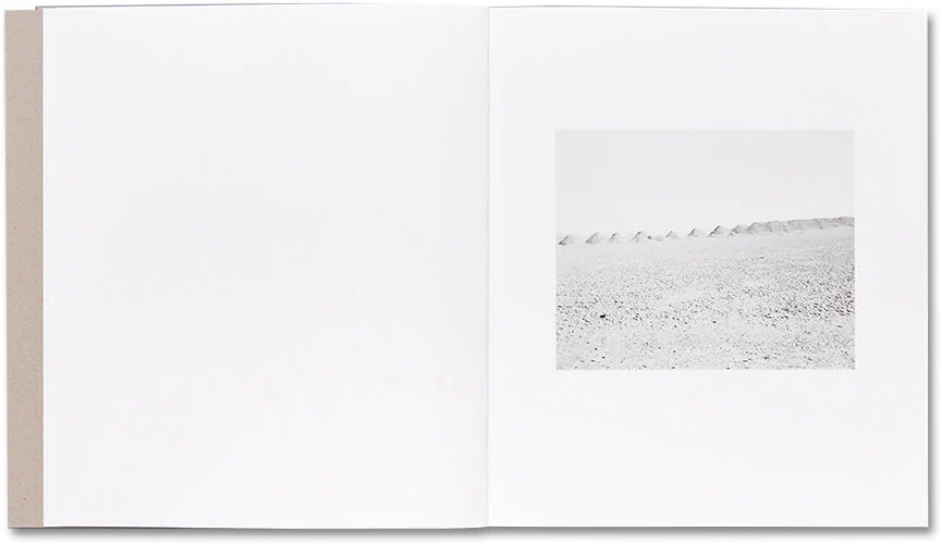 Domesticated Land - Image 4