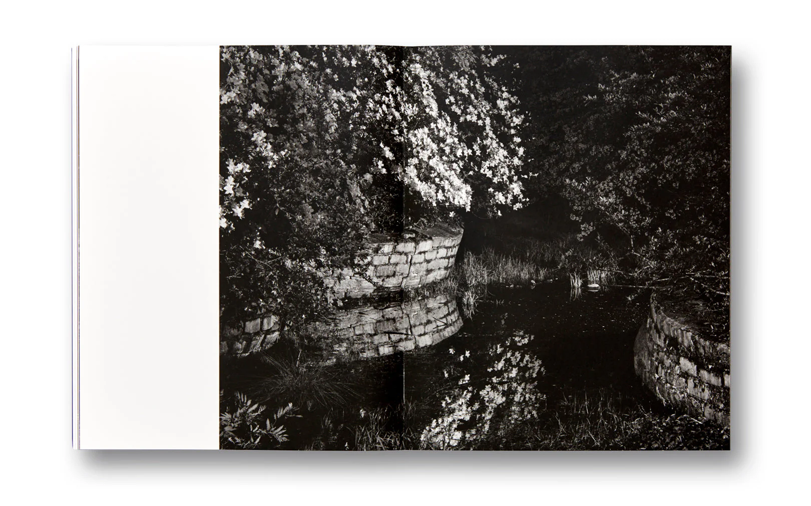Dyckman Haze - Image 22