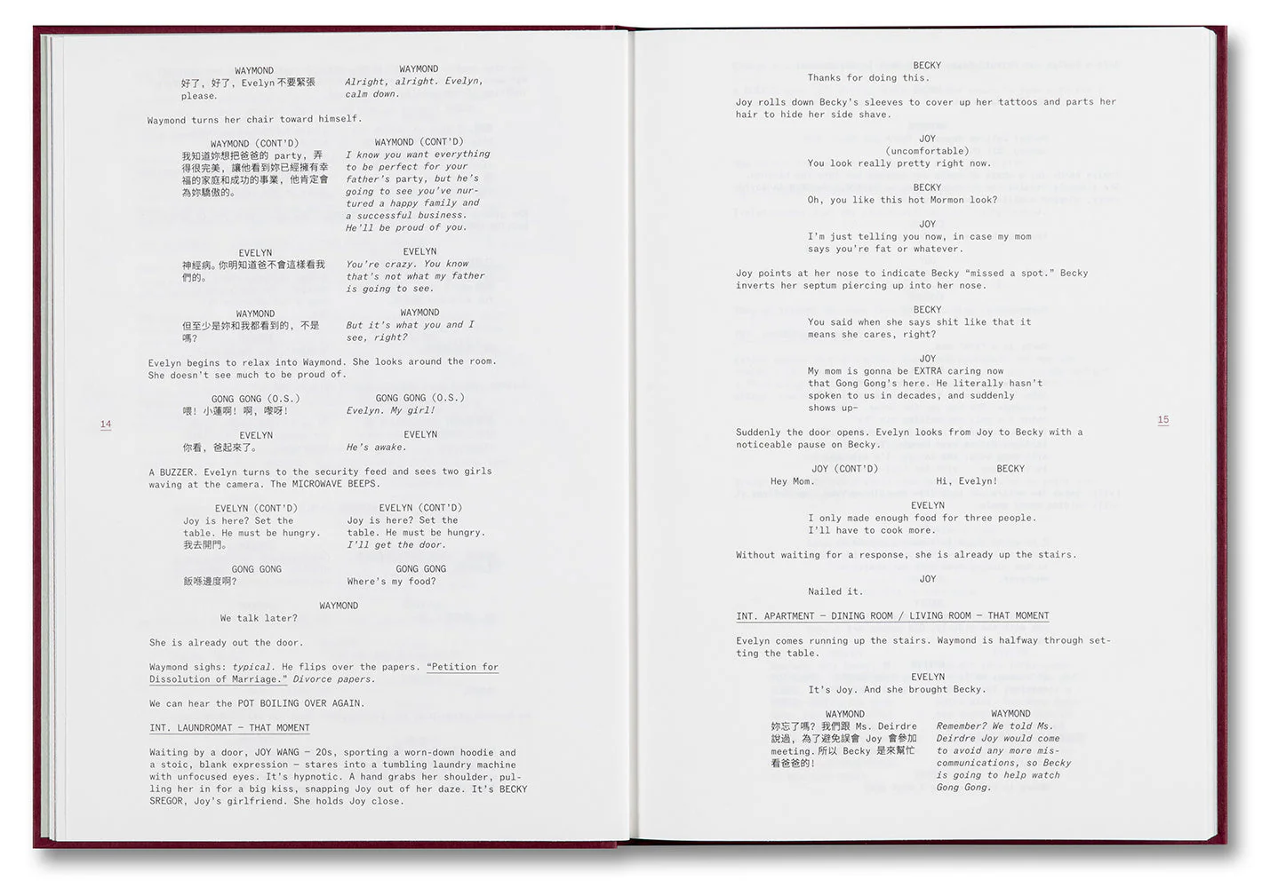 Everything Everywhere All at Once Screenplay Book - Image 4