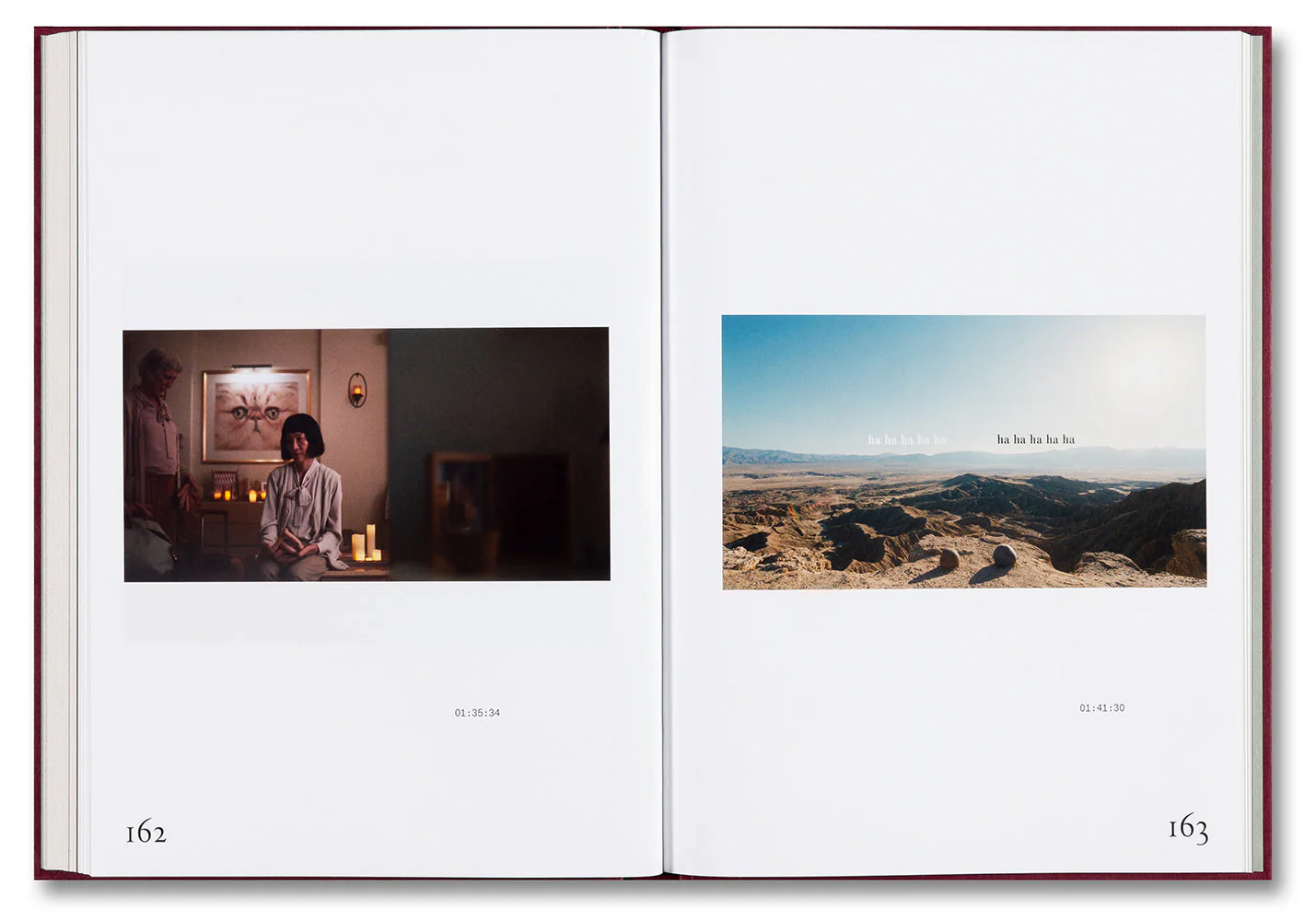 Everything Everywhere All at Once Screenplay Book - Image 7