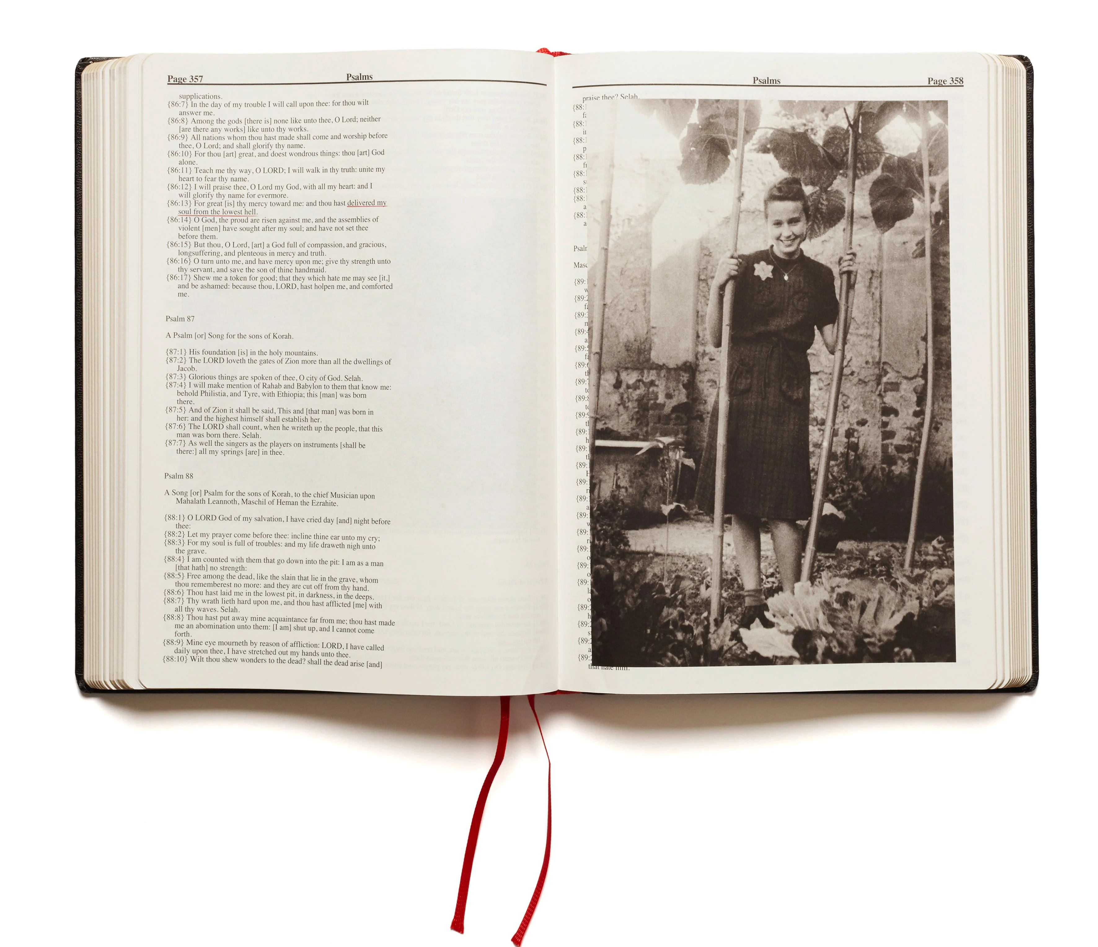 Holy Bible (Second printing) - Image 19