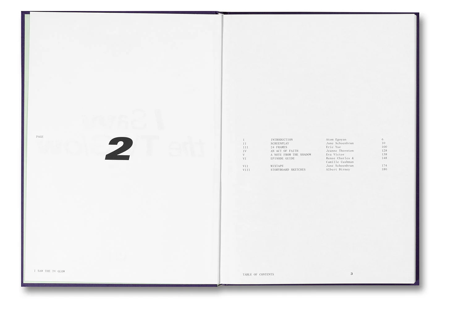 I Saw the TV Glow Screenplay Book - Image 2