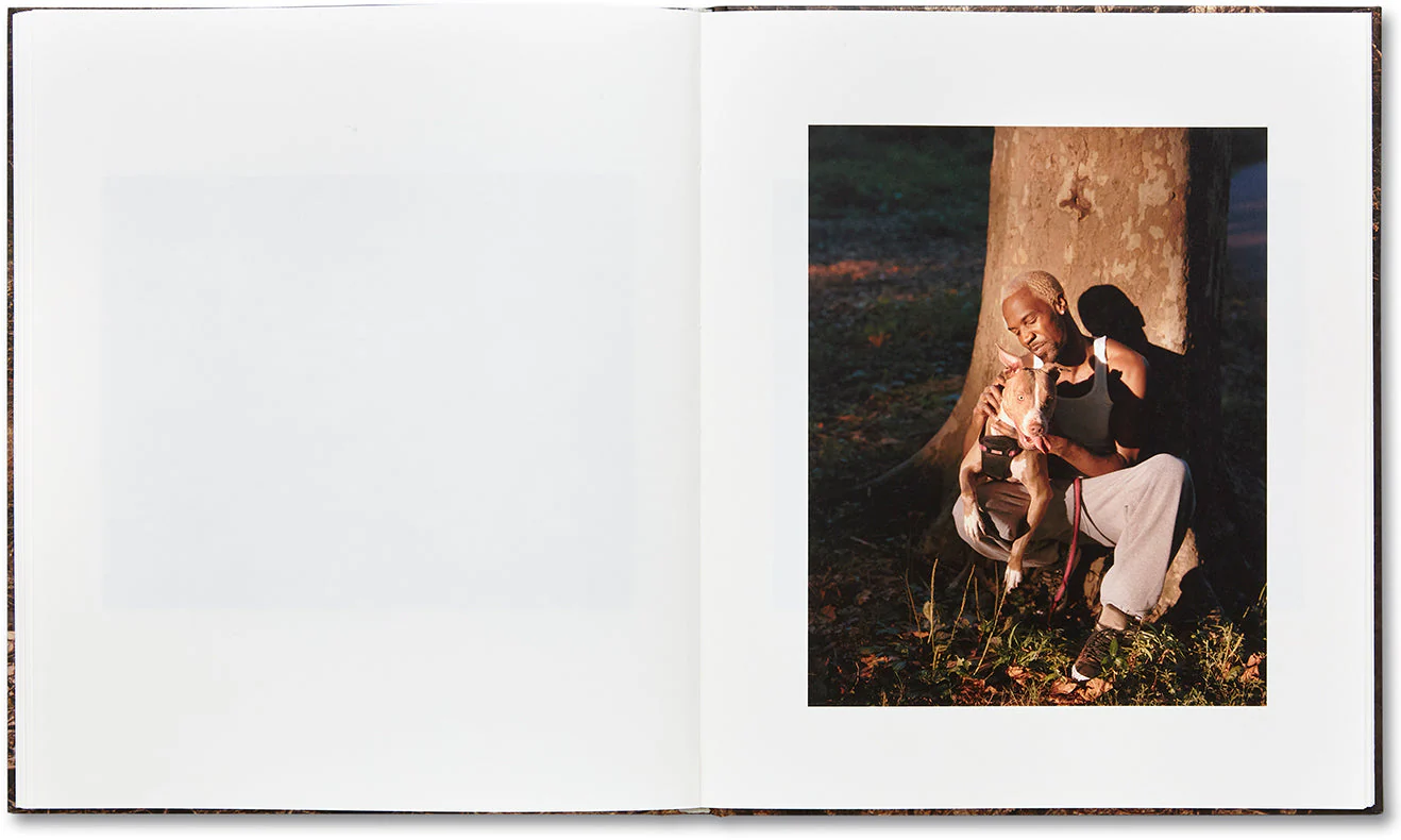 In Plain Air - Image 23