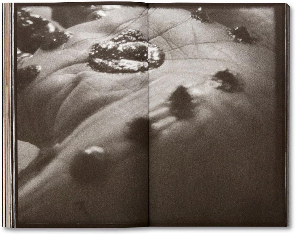 La Bête un conte moderne [French Edition] - Image 16