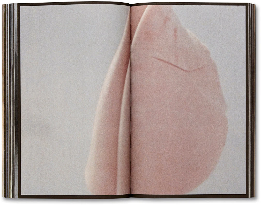La Bête un conte moderne [French Edition] - Image 24