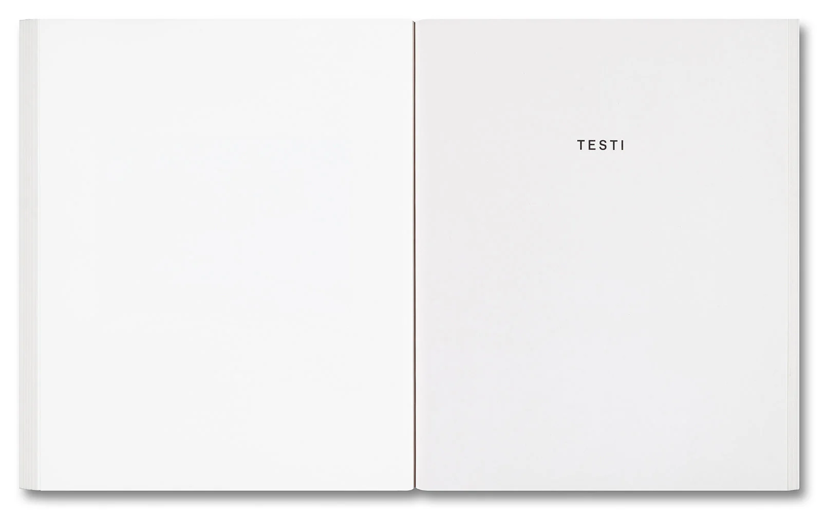 Luigi Ghirri: Viaggi - Image 21
