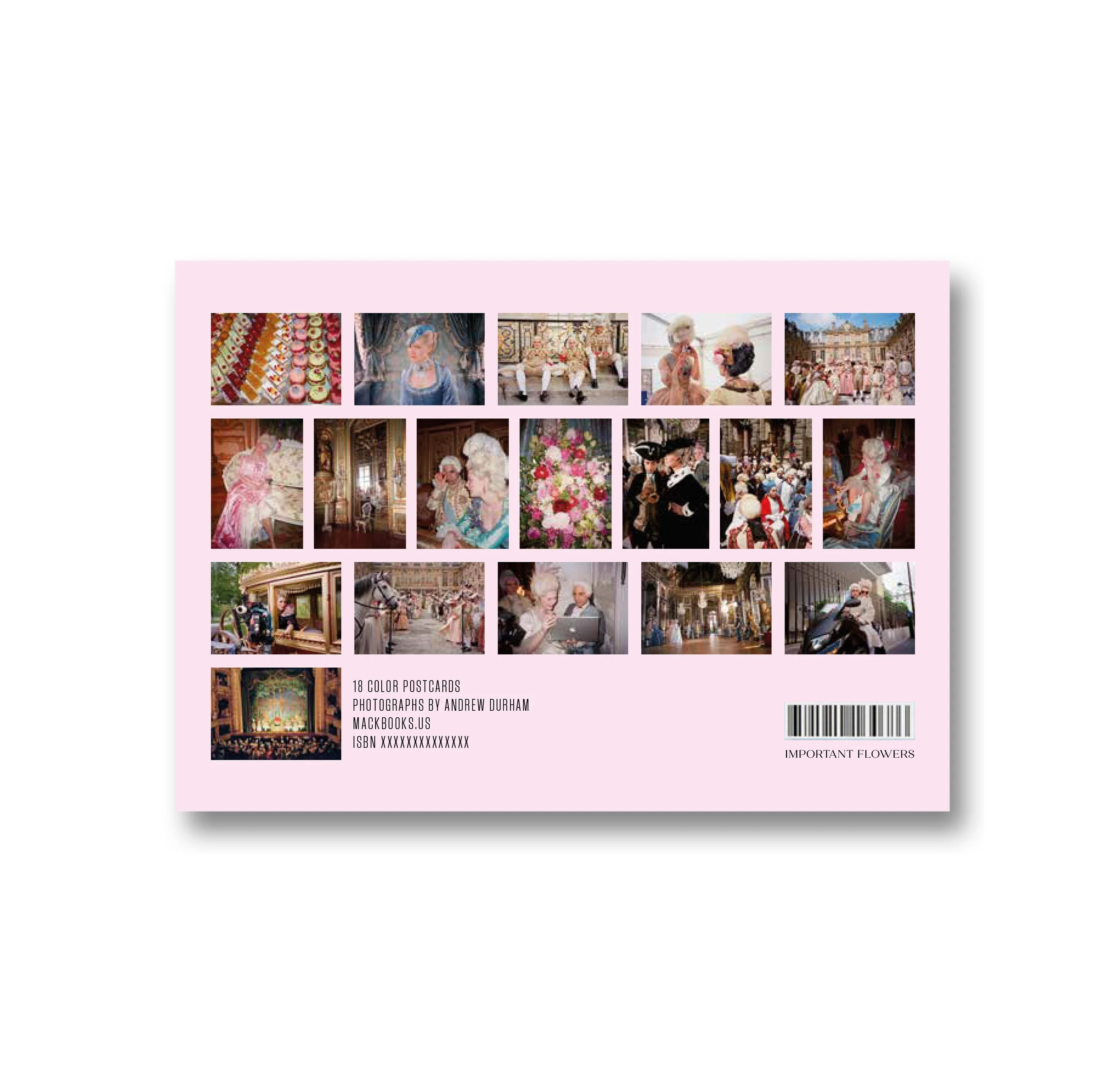Making Marie Antoinette Postcards - Image 23