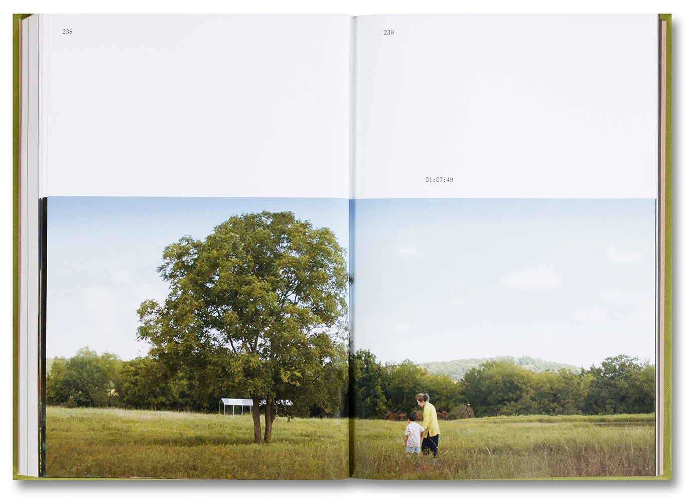 Minari Screenplay Book - Image 9