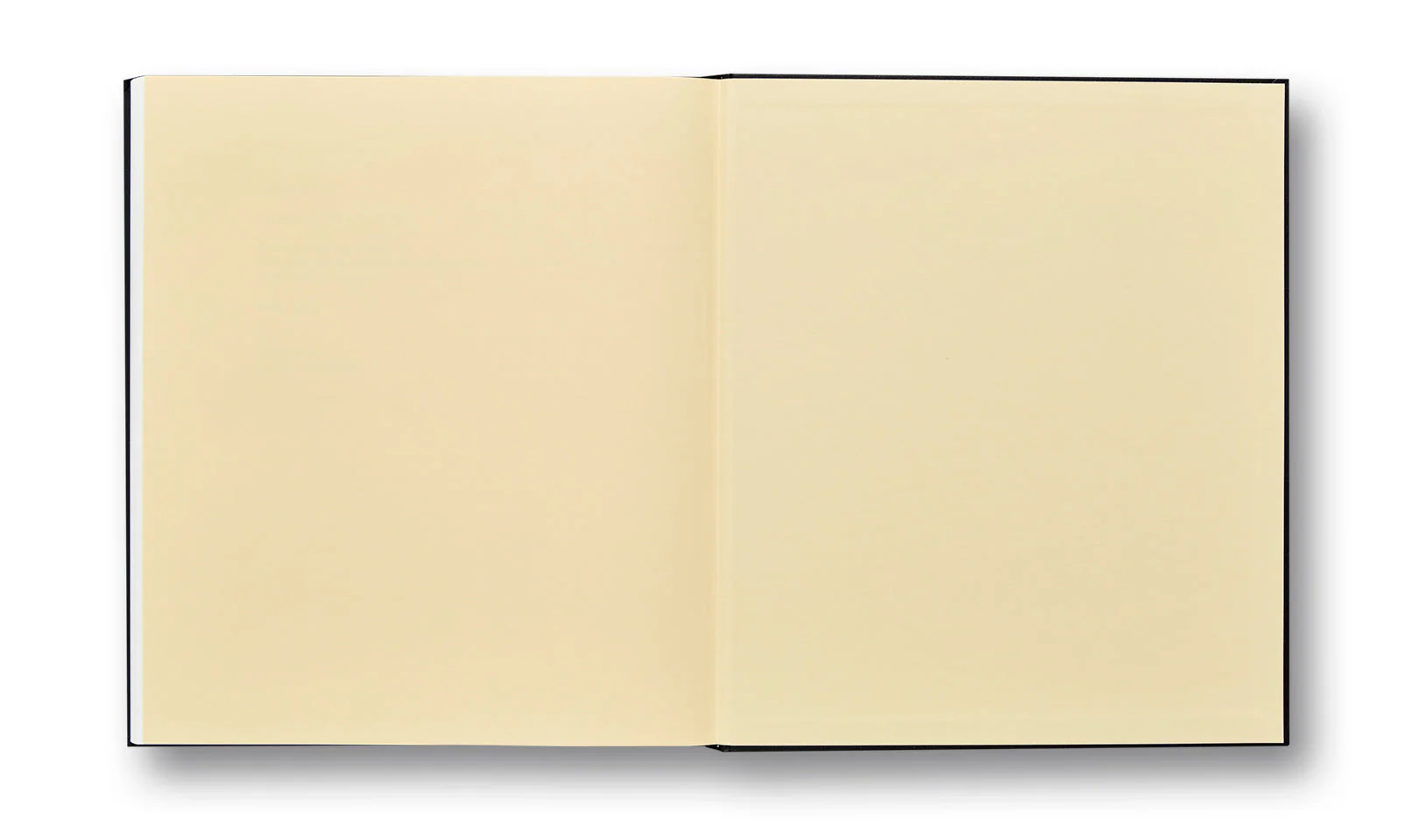 Niagara (First MACK Edition) - Image 30