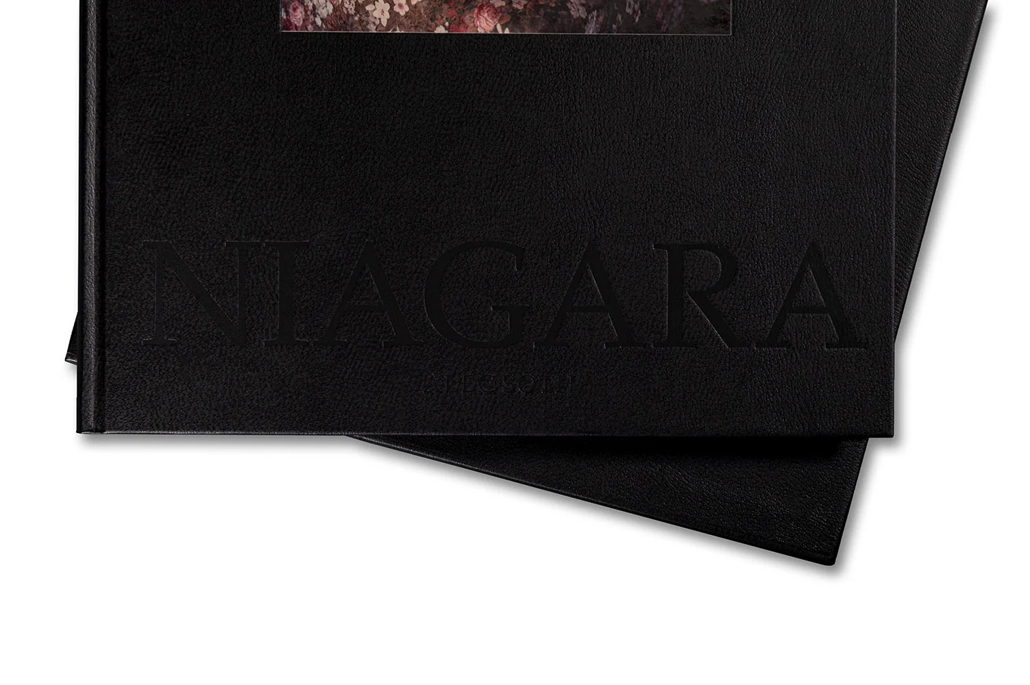 Niagara (First MACK Edition) - Image 37