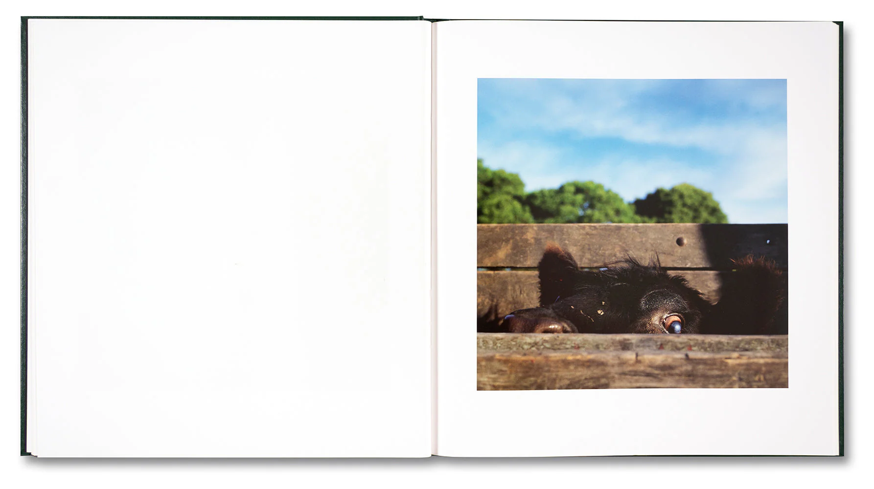 On the Sixth Day - Image 10