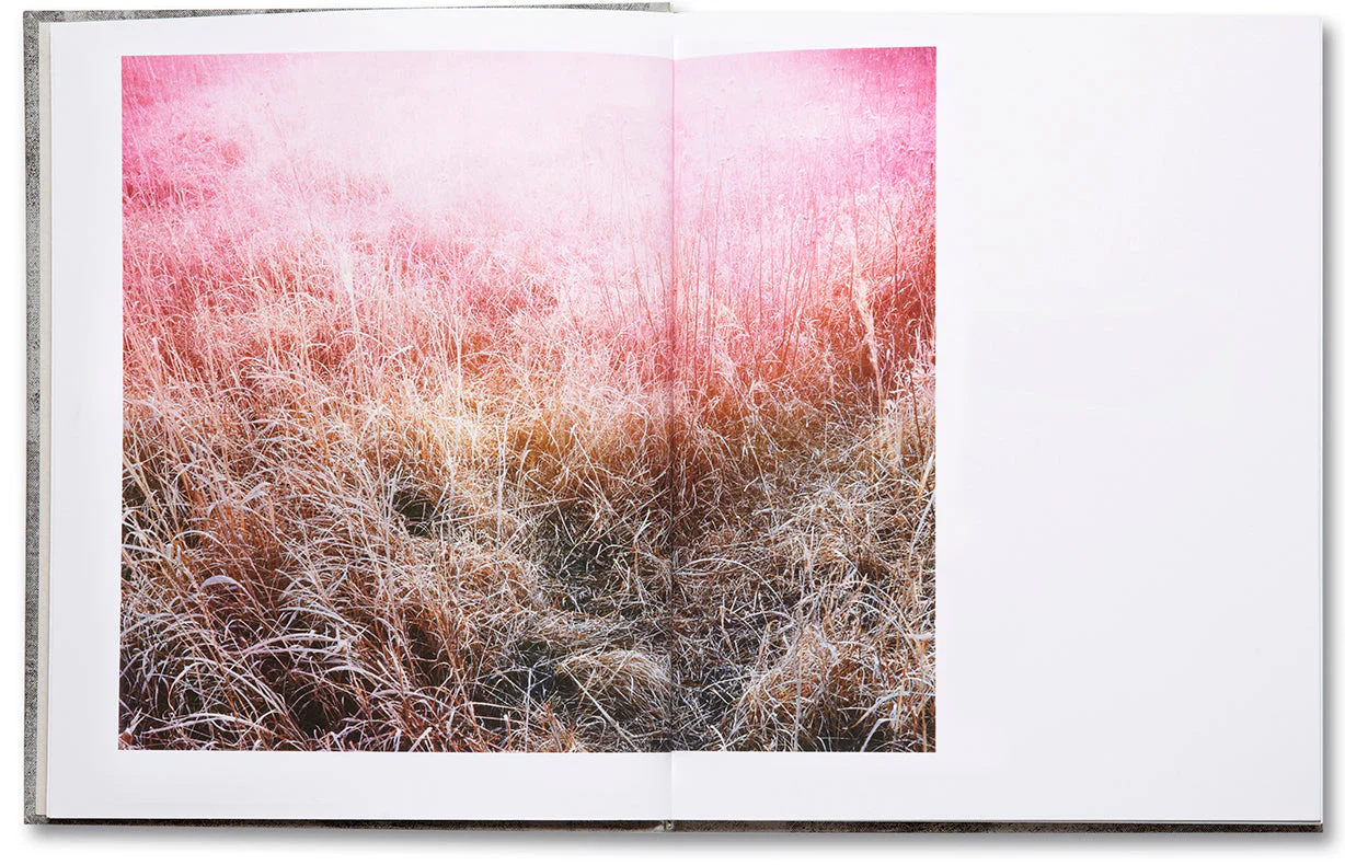 Redheaded Peckerwood (First edition) - Image 5