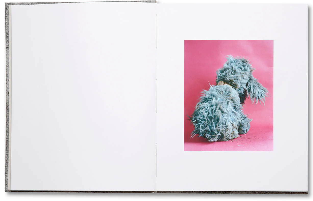 Redheaded Peckerwood (Third edition) - Image 4