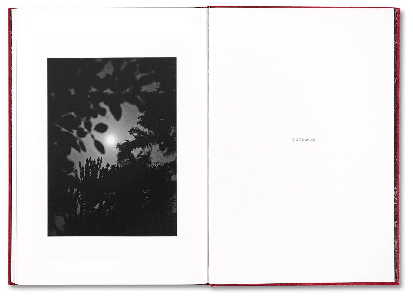 SONATA - Image 31