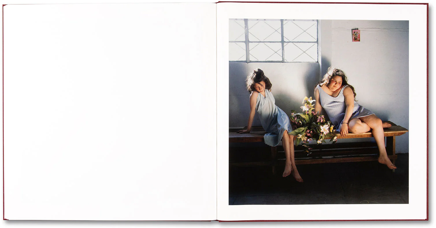 The Adventures of Guille and Belinda and The Enigmatic Meaning of Their Dreams (First edition, signed) - Image 23