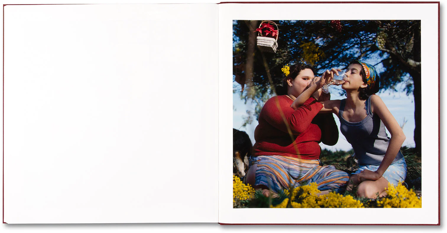 The Adventures of Guille and Belinda and The Enigmatic Meaning of Their Dreams (First edition, signed) - Image 24