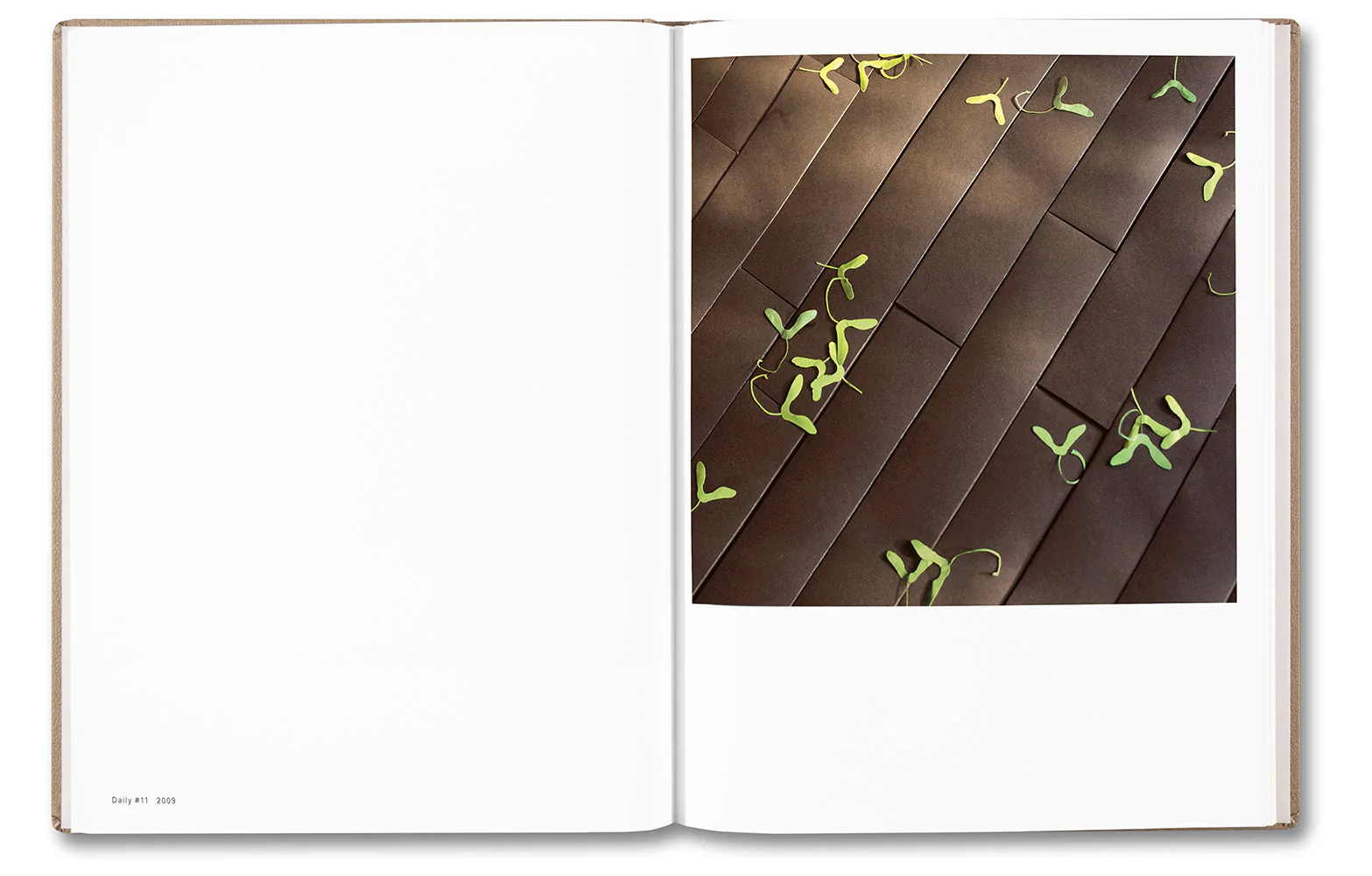 The Dailies (Expanded Edition) - Image 19