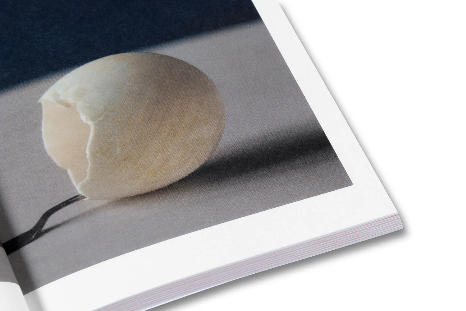 The Devouring Eye: Photography and the Mouth - Image 18