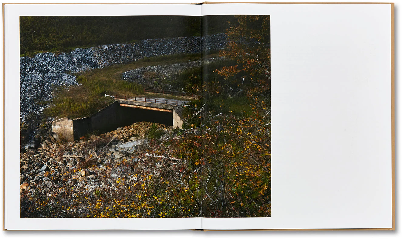 The Local - Image 19