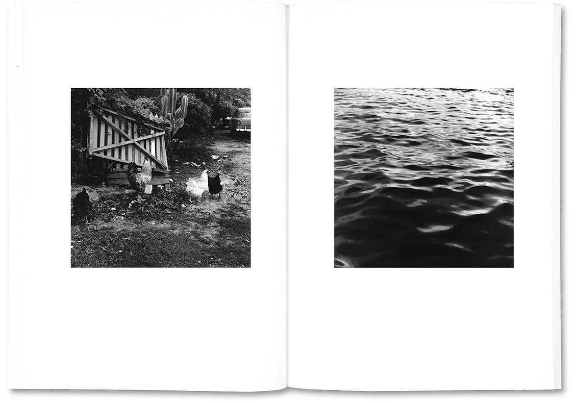 The Shabbiness of Beauty - Image 12