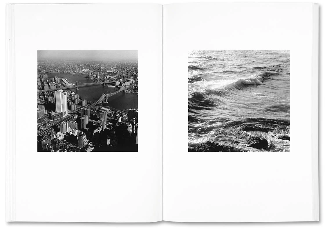 The Shabbiness of Beauty - Image 13