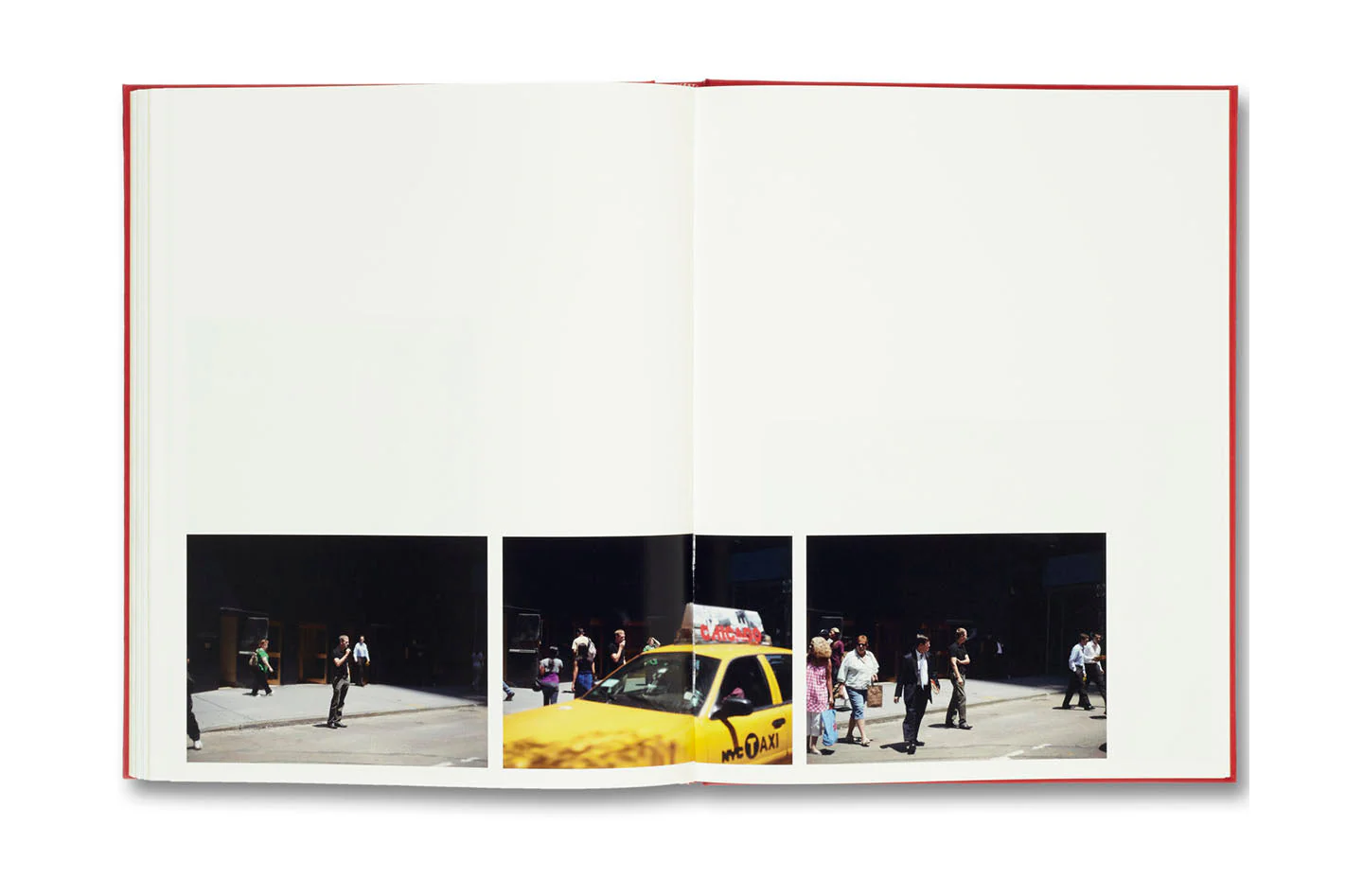 The Whiteness of the Whale - Image 6