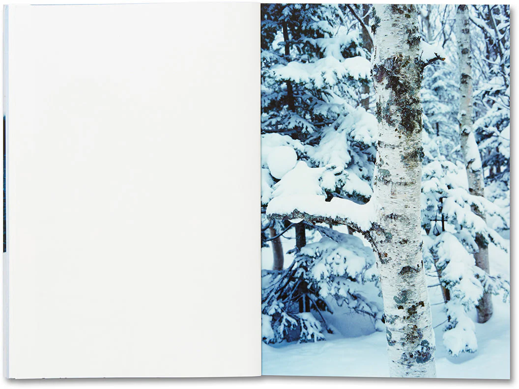 Trails - Image 8