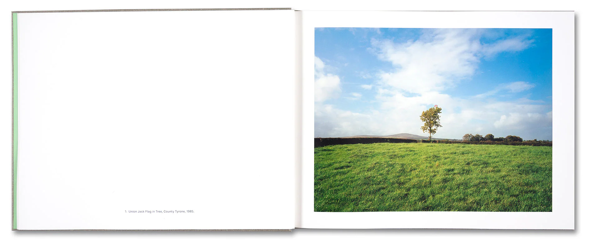 Troubled Land - Image 6