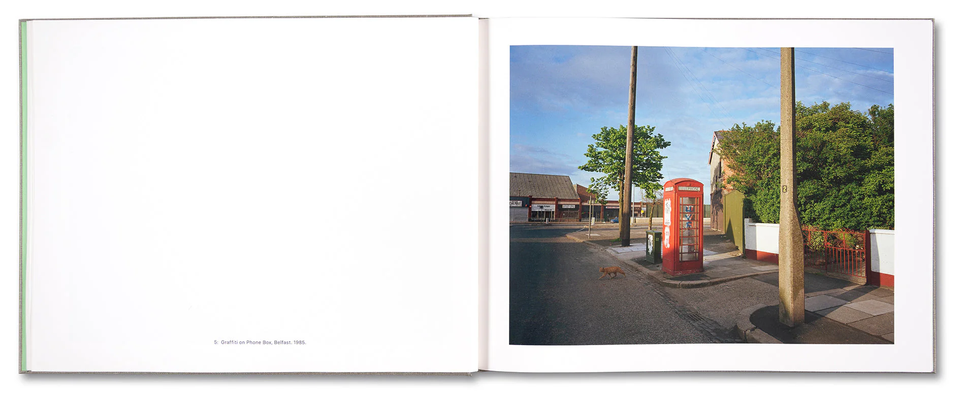 Troubled Land - Image 8